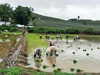 タイ海外ボランティア